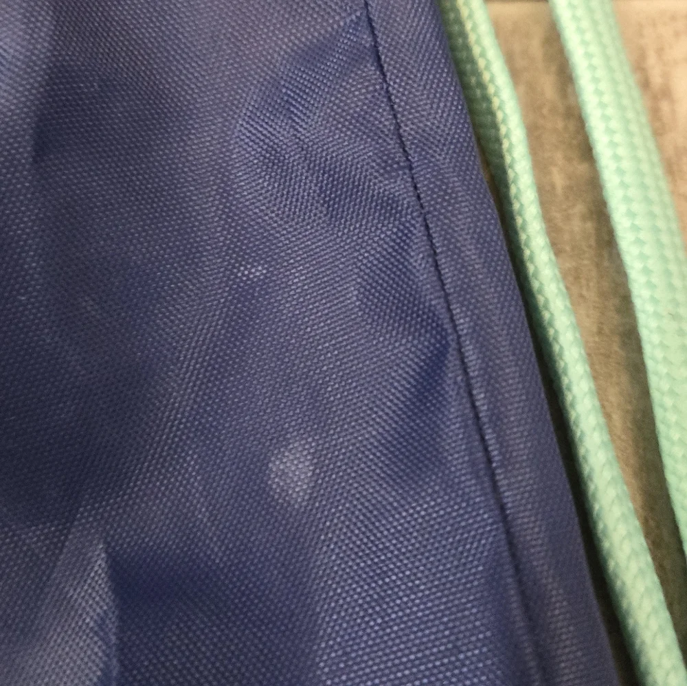 Athleta Girl Blue Drawstring Bag with Teal Straps 15.5